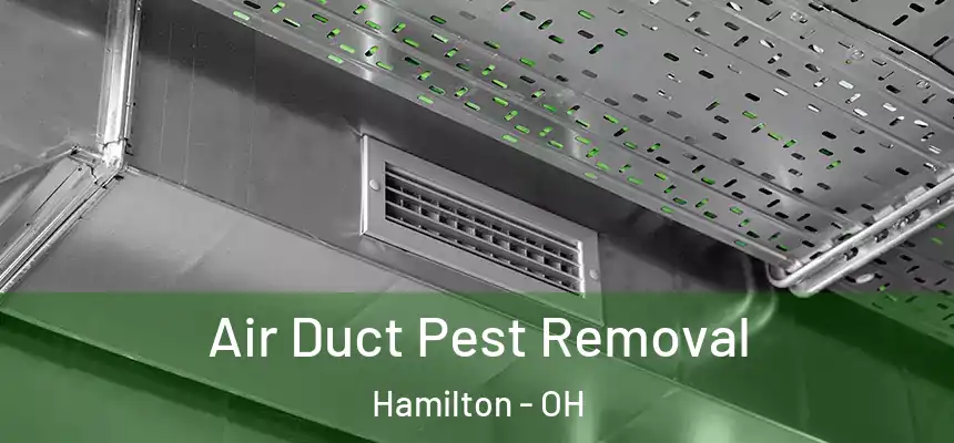 Air Duct Pest Removal Hamilton - OH