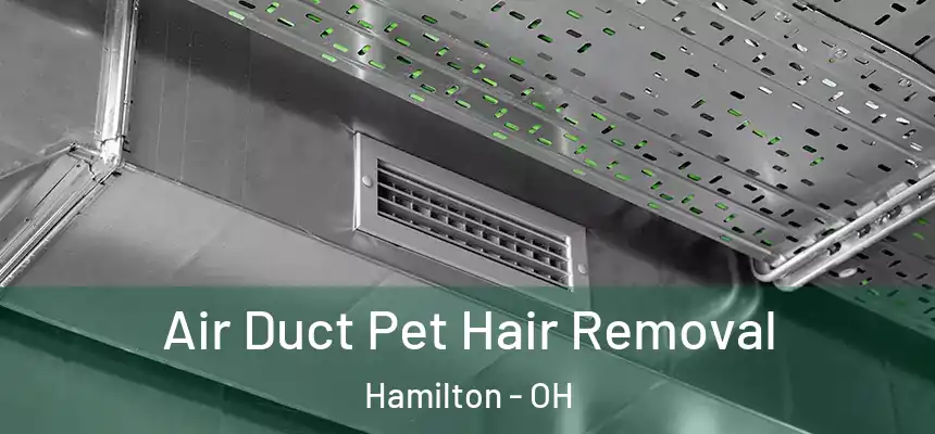  Air Duct Pet Hair Removal Hamilton - OH