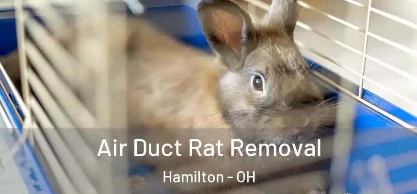  Air Duct Rat Removal Hamilton - OH