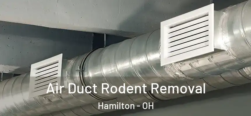 Air Duct Rodent Removal Hamilton - OH