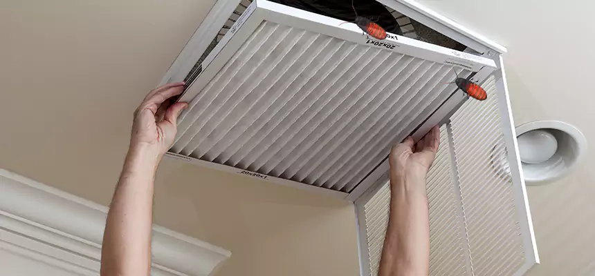 Preventive Cockroach-Proofing for Ducts in Hamilton