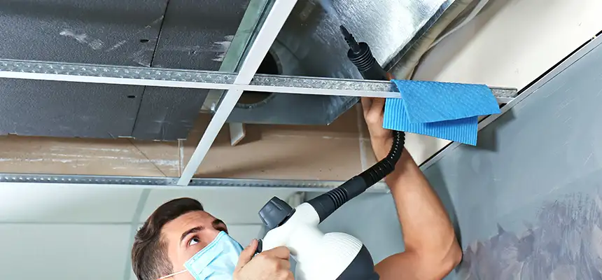 Our Air Duct Rodent Removal Services in Hamilton, OH