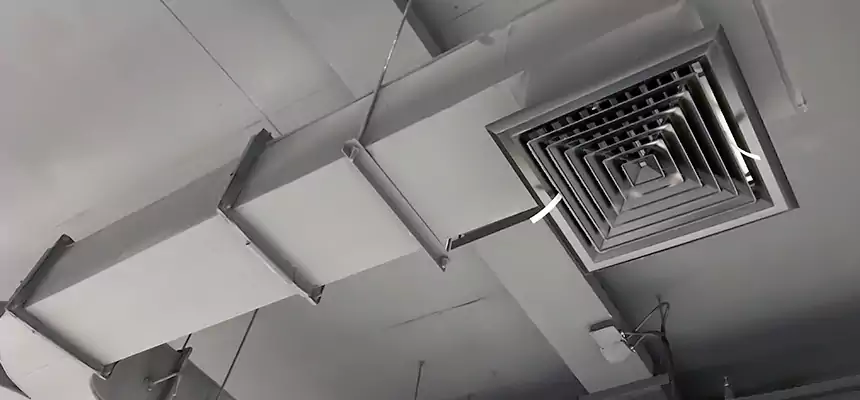 Restorative Allergy Relief Vent Cleaning – Coil, Blower & Housing Detail in Hamilton