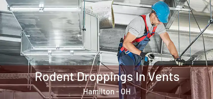  Rodent Droppings In Vents Hamilton - OH
