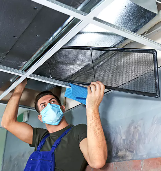 About Air Duct Bacteria Removal in Hamilton