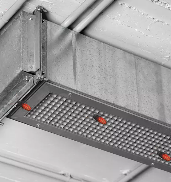 About Air Duct Cockroach Removal in Hamilton, OH