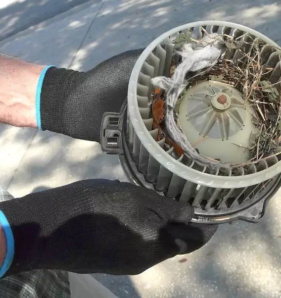 About Air Duct Mice Removal in Hamilton, OH