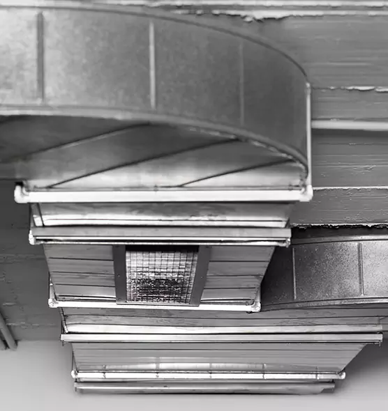 Professional Air Duct Pet Hair Removal in Hamilton, OH