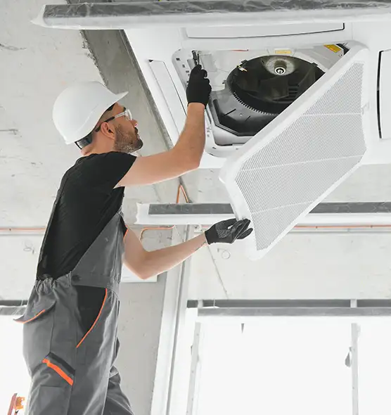 About Air Duct Rodent Removal in Hamilton, OH