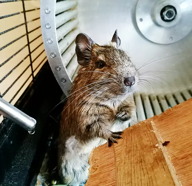 Why Homeowners & Businesses Trust Us Hamilton, OH